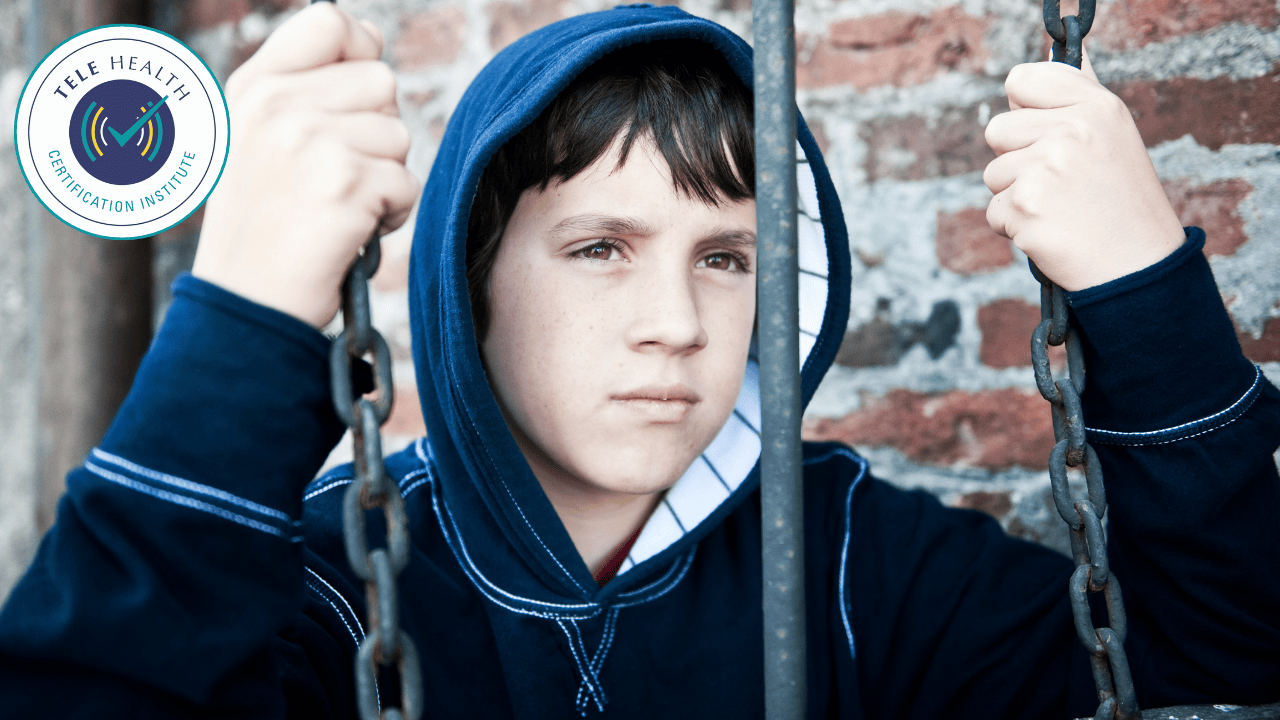 Using Telemental Health to Treat Juvenile Sex Offenders