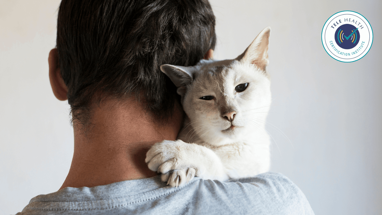 AAT Competencies and Multicultural Considerations