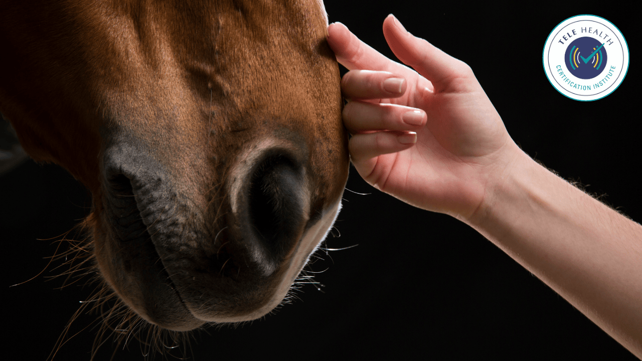 Introduction to Equine Facilitated Psychotherapy