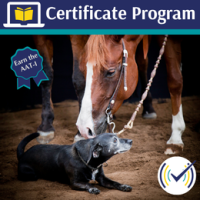 aat-i_credential_hsthumbnail