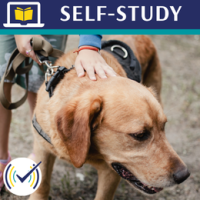 animals_as_co-therapists_selection_hsthumbnail