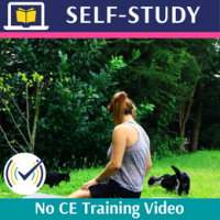 birds_eye_view_and_wise_mind_no_ce_tv_thumbnail