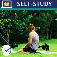birds_eye_view_and_wise_mind_oss_thumbnail