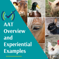 AAT Overview and Experiential Examples Course