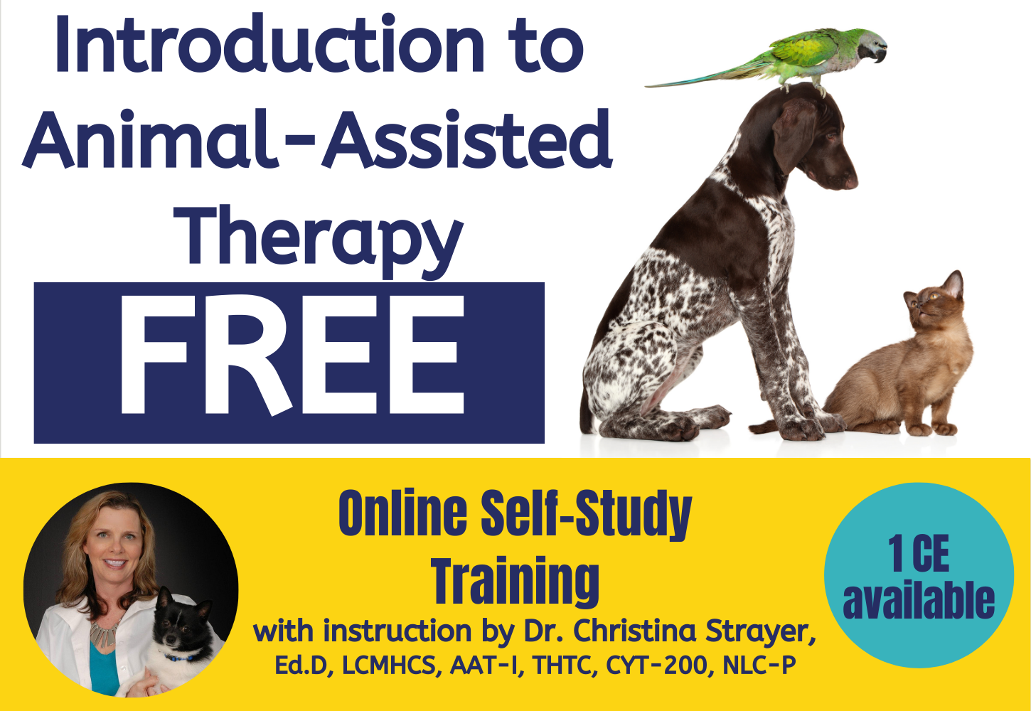 Introduction to Animal-Assisted Therapy