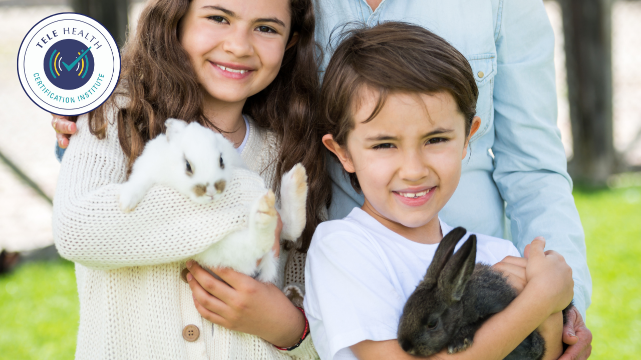 animals as co therapists exploring promo