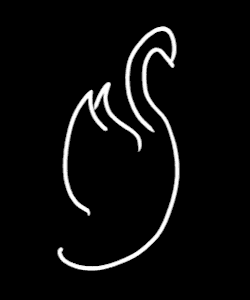 Starlit Swan Headshot