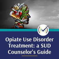 Opiate Use Disorder Treatment: a SUD Counselor’s Guide