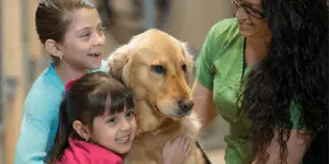 Animal Assisted Therapy Animal Assisted Therapy