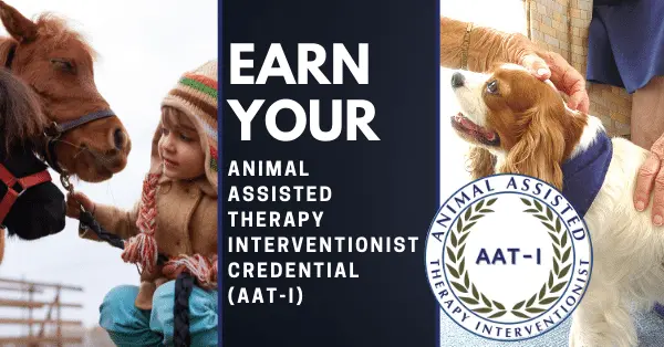 AAT Courses for LCA AAT Courses for LCA