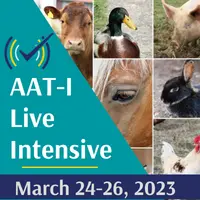 aat_intensive_marsh_2023_thumbnail