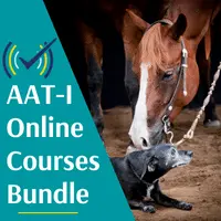 Animal Assisted Therapy Animal Assisted Therapy