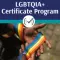 LGBTQIA Inclusion in Healthcare 2 course bundle