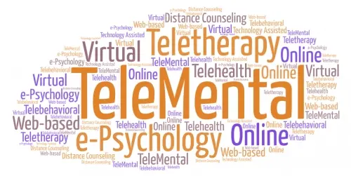 Terms for TeleMental Health