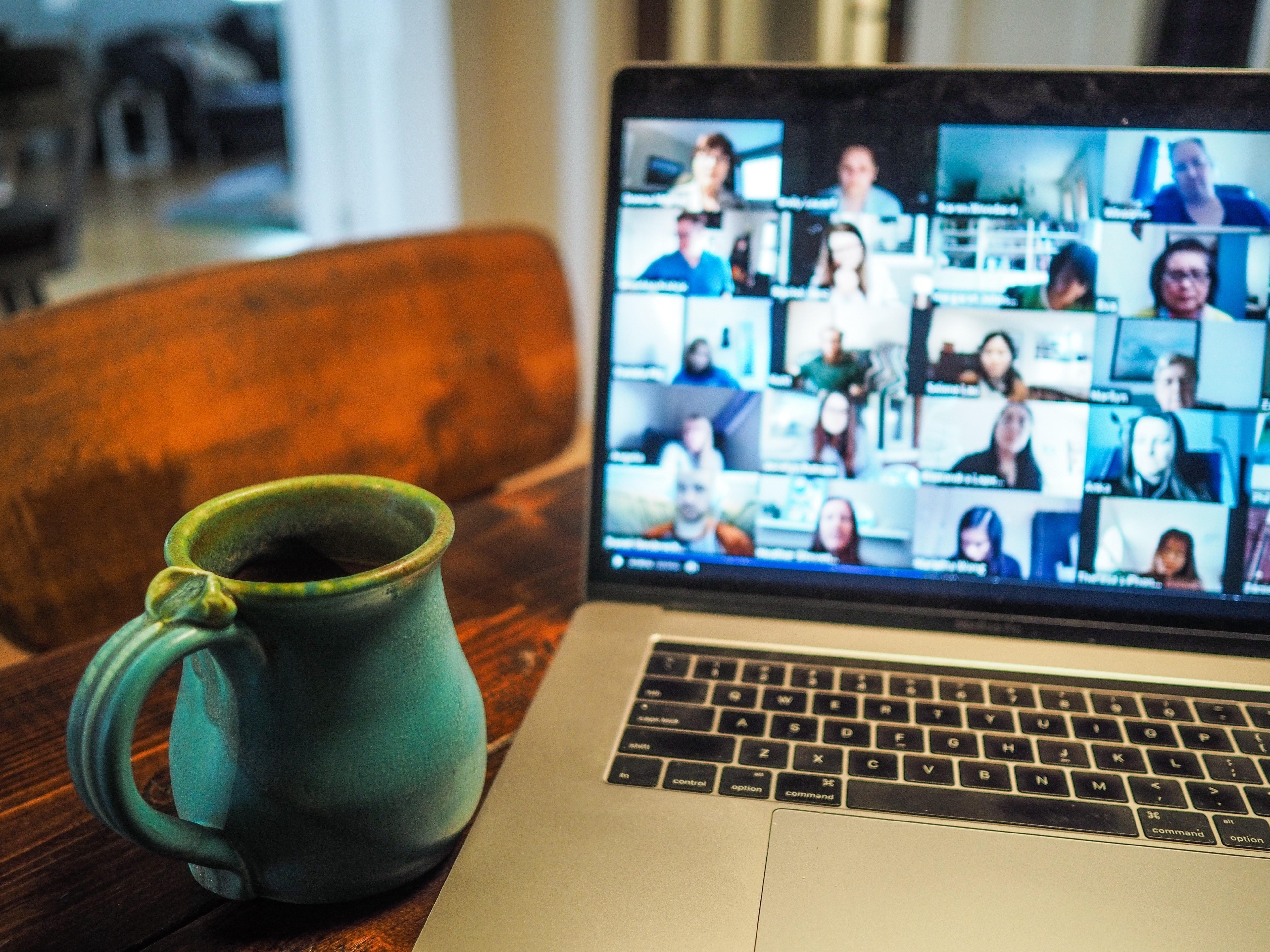 Several Professionals in Video meeting